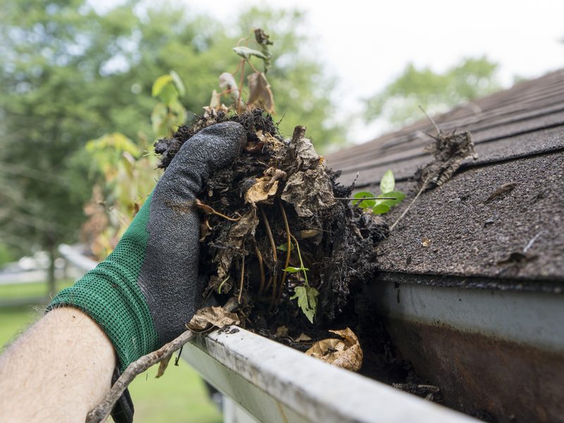 Gutter being cleared by hand